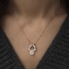 Gümüş Rose Bahar Çiçeği Kolye - Görsel 2